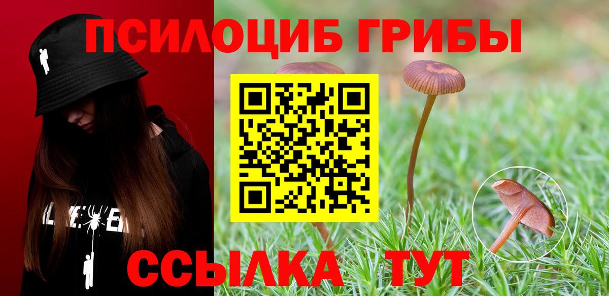 Псилоцибиновые грибы Psilocybine cubensis  Вход с VPN  Астрахань  Галлюциногенные грибы Psilocybine cubensis 